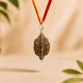 Natural 1 Mukhi Rudraksha – Authentic Single-Faced Sacred Botanical Bead