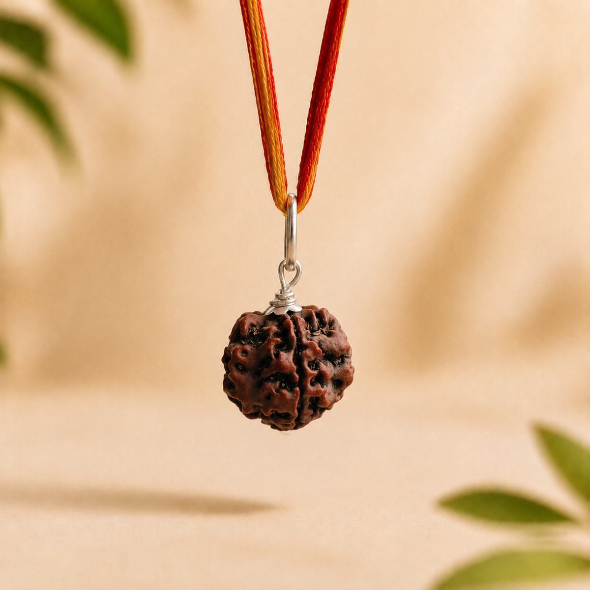 Natural 4 Mukhi Rudraksha – Authentic Four-Faced Sacred Botanical Bead