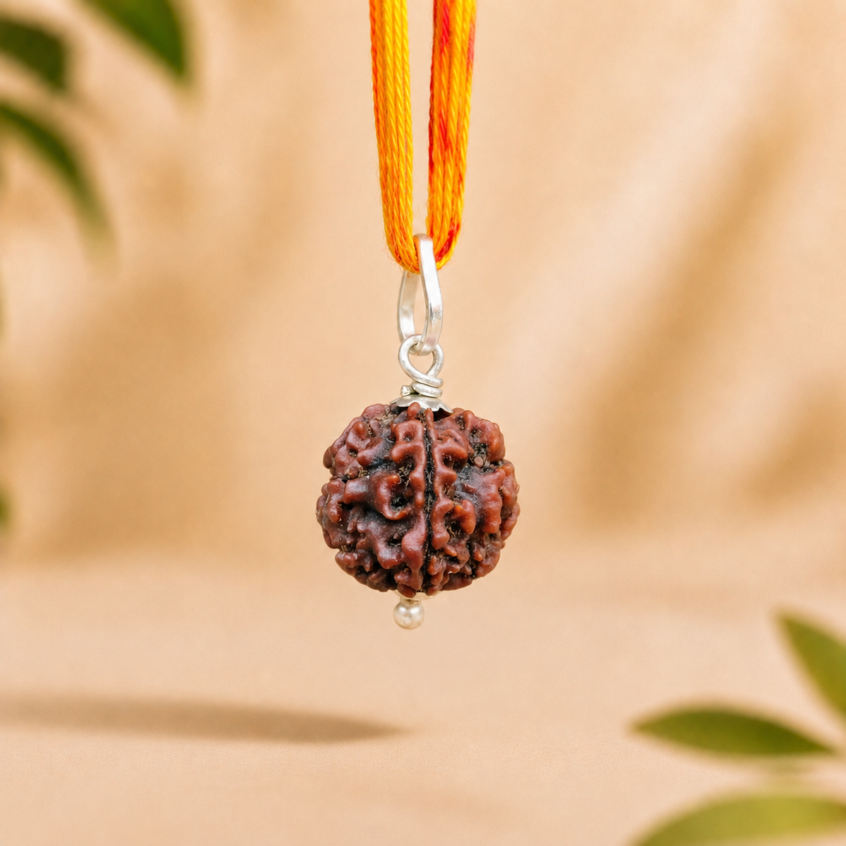 Natural 4 Mukhi Rudraksha – Authentic Four-Faced Sacred Botanical Bead