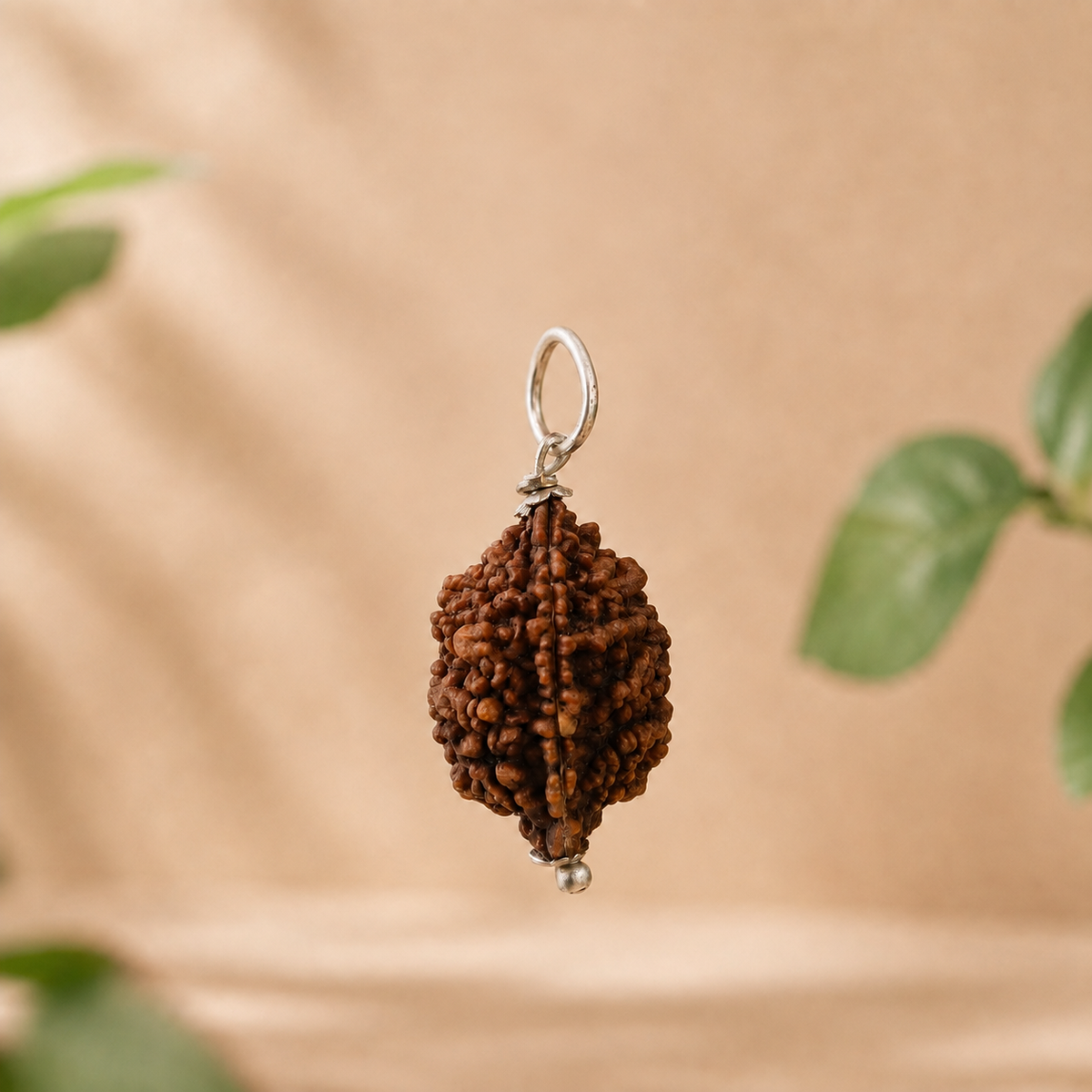 Natural 2 Mukhi Rudraksha – Authentic Two-Faced Sacred Botanical Bead