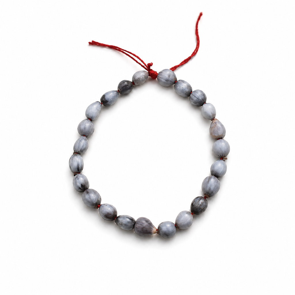 Natural Vaijanti Bracelet – Authentic Natural Seed Wrist Accessory