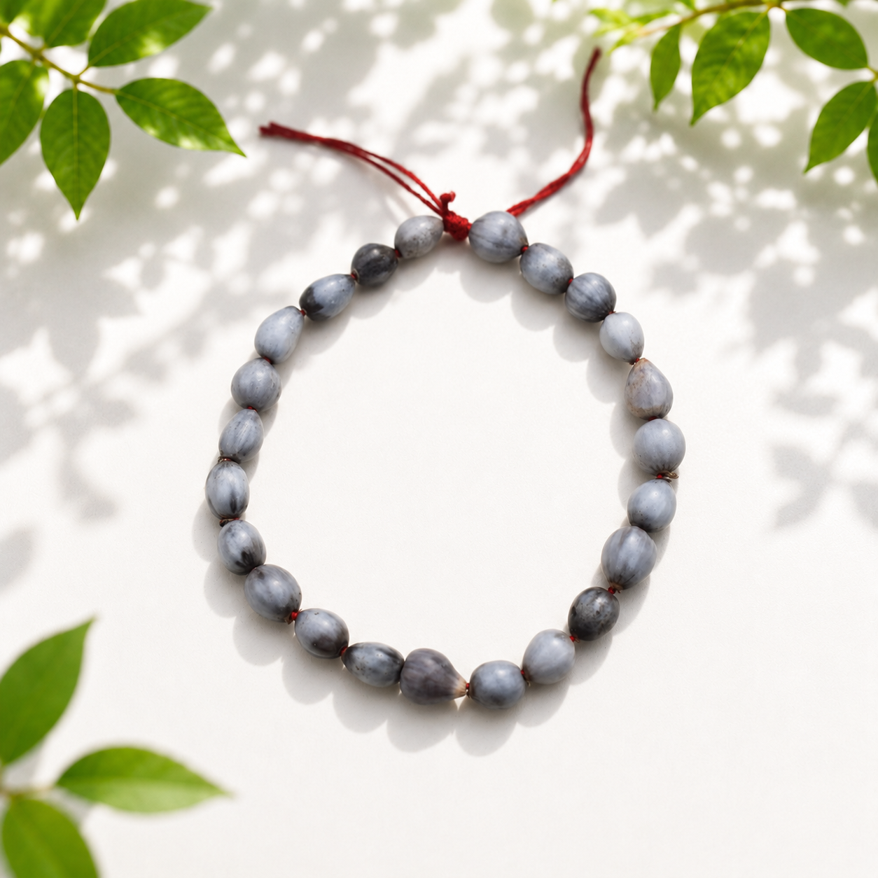 Natural Vaijanti Bracelet – Authentic Natural Seed Wrist Accessory