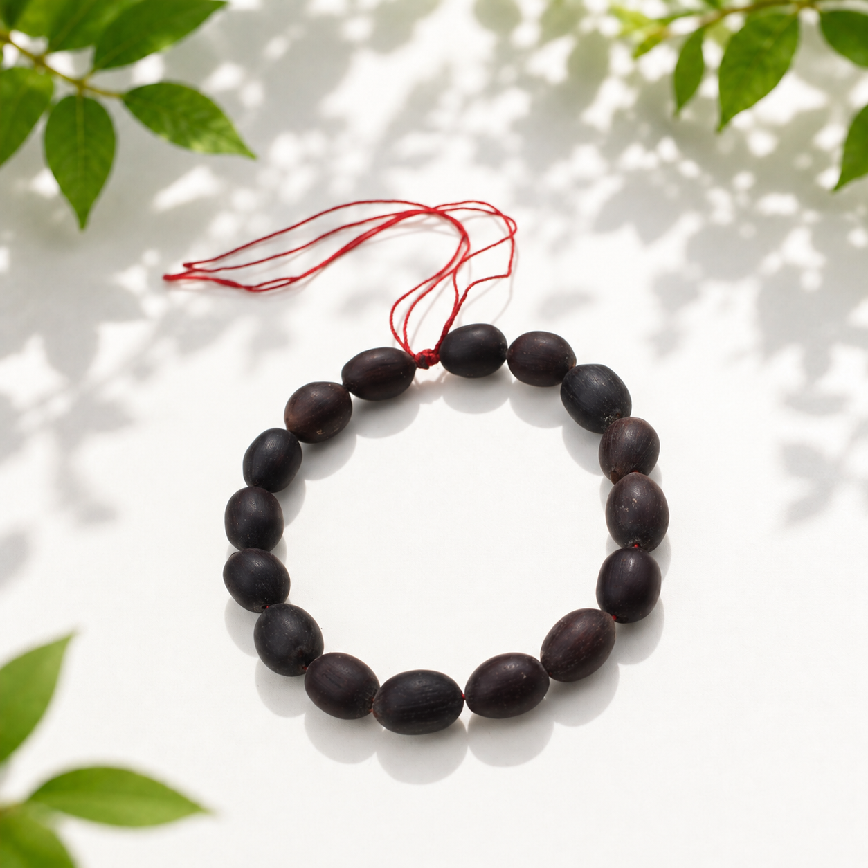 Natural Kamalgatta Bracelet – Authentic Lotus Seed Wrist Accessory