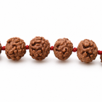 Natural Rudraksha Mala 21+1 – Authentic Rudraksha Seed Chanting Beads