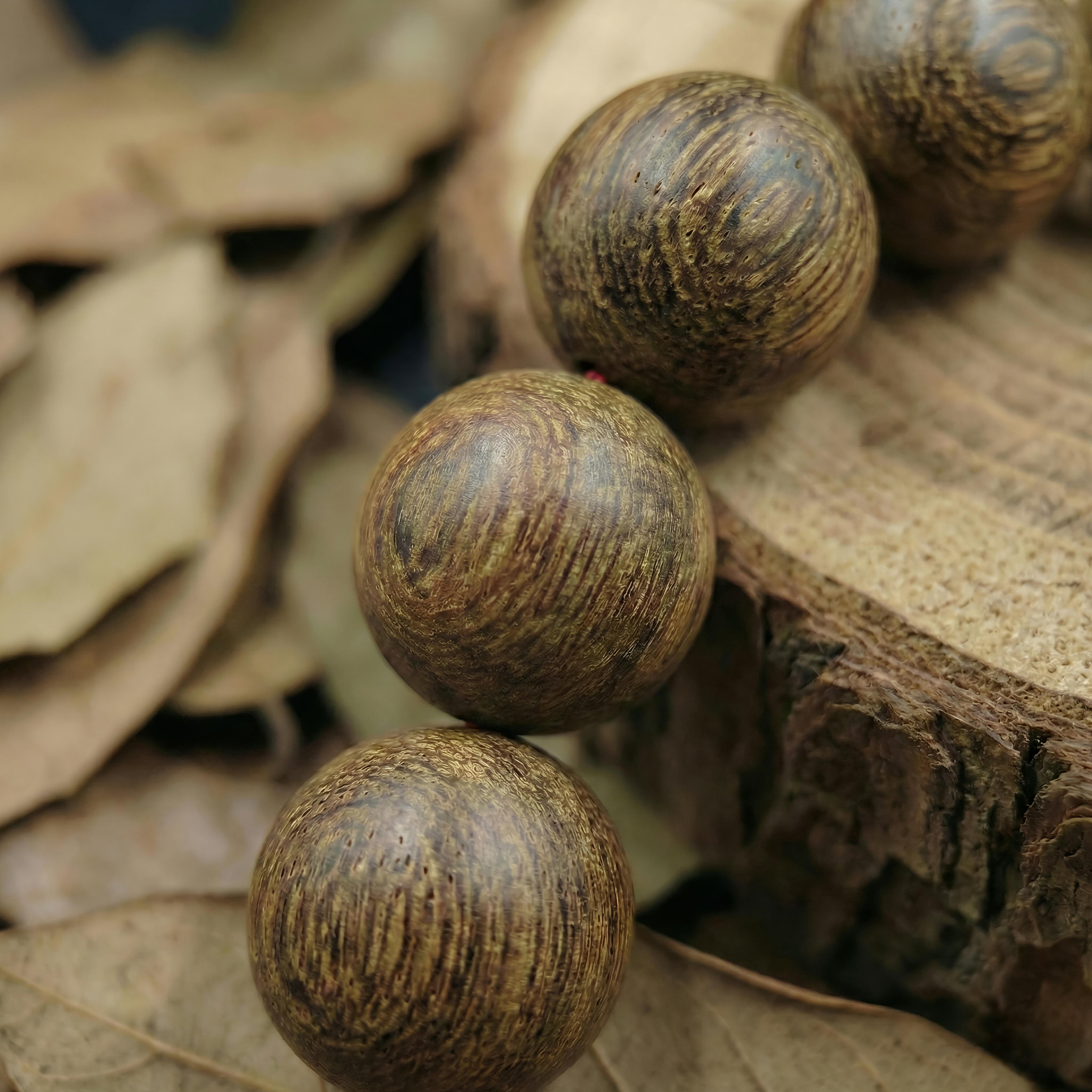 Pure Dahiman Wood Bracelet - Natural Bold Beads with Adjustable Cord