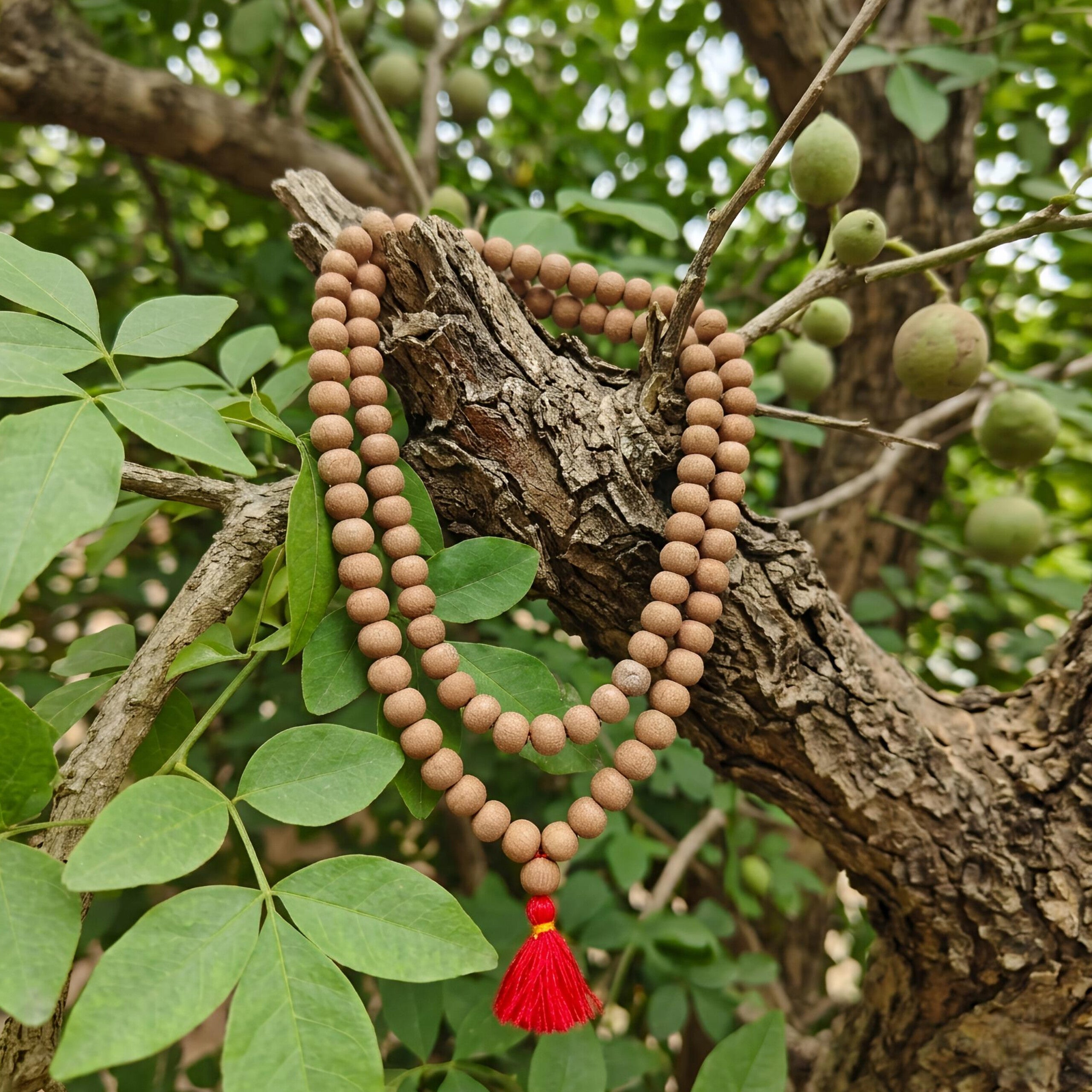 Bel Wood Jaap Mala (Bilva Mala) – Natural Belpatra Wood 108+1 Beads