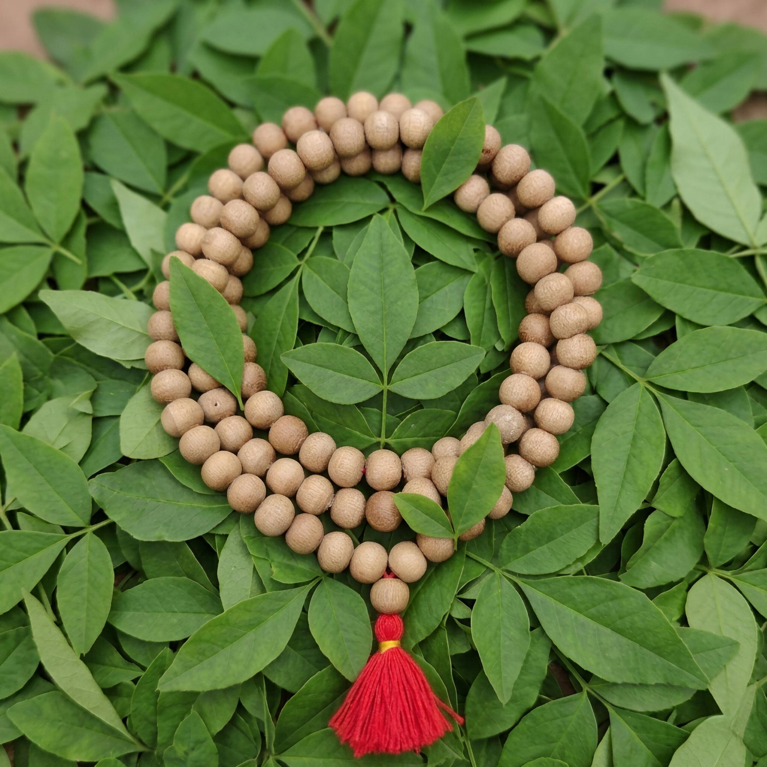 Bel Wood Jaap Mala (Bilva Mala) – Natural Belpatra Wood 108+1 Beads