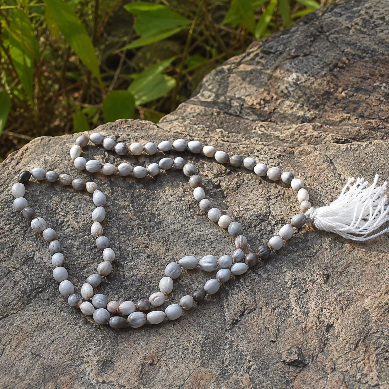 Natural Vaijanti Mala – Authentic Wild Vyjayanti Seeds 108 Beads Japa Mala